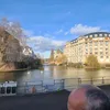 rommelinni