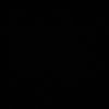 e010v
