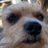 scruffy7629