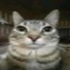 fentenjoyer96