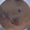 chantelledangs