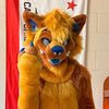 alex_husky621