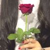 mnq032816ve