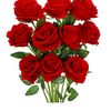 nousahad.v..a