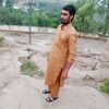 tariqjan7660