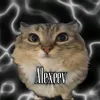 alexeesv