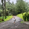 irishcolarat23