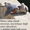 sevda.toprak172