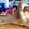 otisa33mnbnhn
