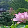 ngoluyen73