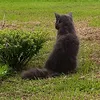 sophie.purry