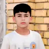 nzi_y6