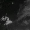 randaaltayeb656