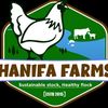 hanifafarms2