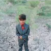 sulaman.saqib