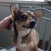 bettybaum695