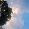 user8017504364