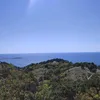 mimiskak