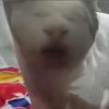 naamoopma7