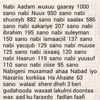 saafi233