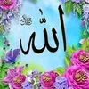 mohamed69983
