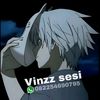 vinzzsesi