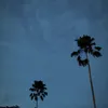 _rupakata8
