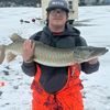 andrew_long6