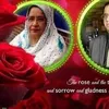 shaheenmirza918