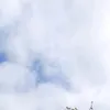 deybbbx
