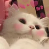 lisaumeeehacoii