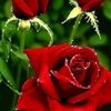 user3909436710633
