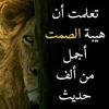 user7911685718415