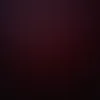 loanngoctran1984