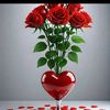 bilal.khan66066