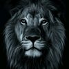 falcon_ghion