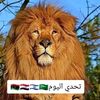 abeer74541