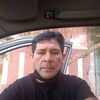 rolo243