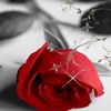 azdiza_razad