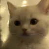 mazemix85