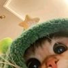 letmin__mar