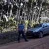 pedrogaimer123