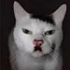 dyck3n8dk3it