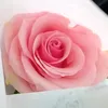 z_zzz29