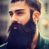 no_yosf16