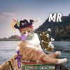 mr_pofix