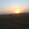 alsayda233