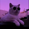 kisocsi_