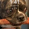 stewieoaks