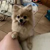 barbara_ketly